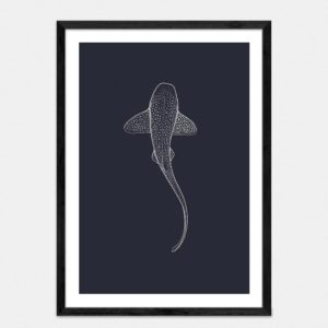 Leopard Shark Limited Edition Art Print By Jennifer Greengrass