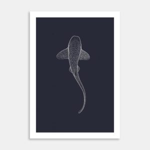 Leopard Shark Limited Edition Art Print By Jennifer Greengrass