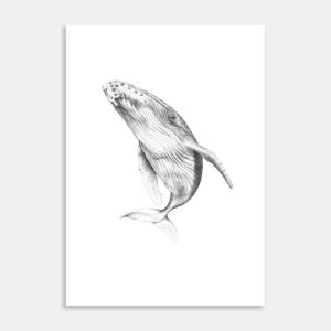Paikea Limited Edition Art Print By Jennifer Greengrass