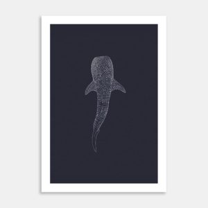 Whale Shark Limited Edition Art Print By Jennifer Greengrass