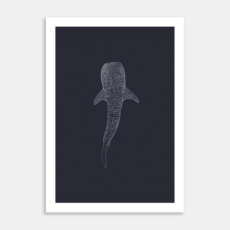 Whale Shark Limited Edition Art Print By Jennifer Greengrass