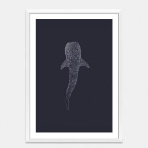 Whale Shark Limited Edition Art Print By Jennifer Greengrass