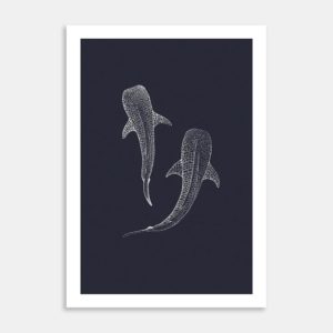 Whale Sharks Limited Edition Art Print By Jennifer Greengrass