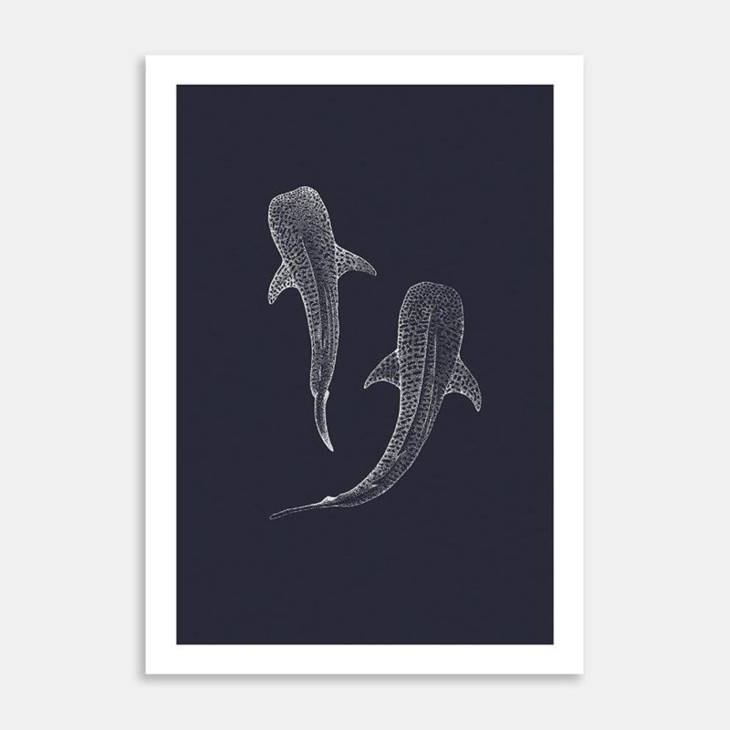 Whale Sharks Limited Edition Art Print By Jennifer Greengrass
