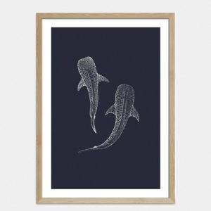 Whale Sharks Limited Edition Art Print By Jennifer Greengrass