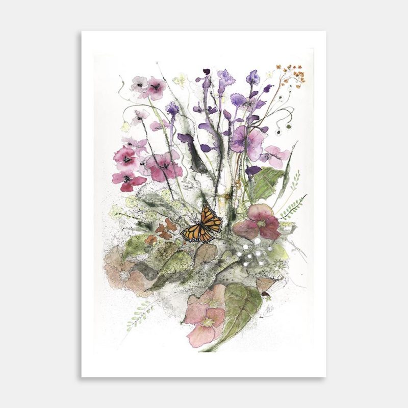Monarch Resting Art Print By Jacqueline Letham