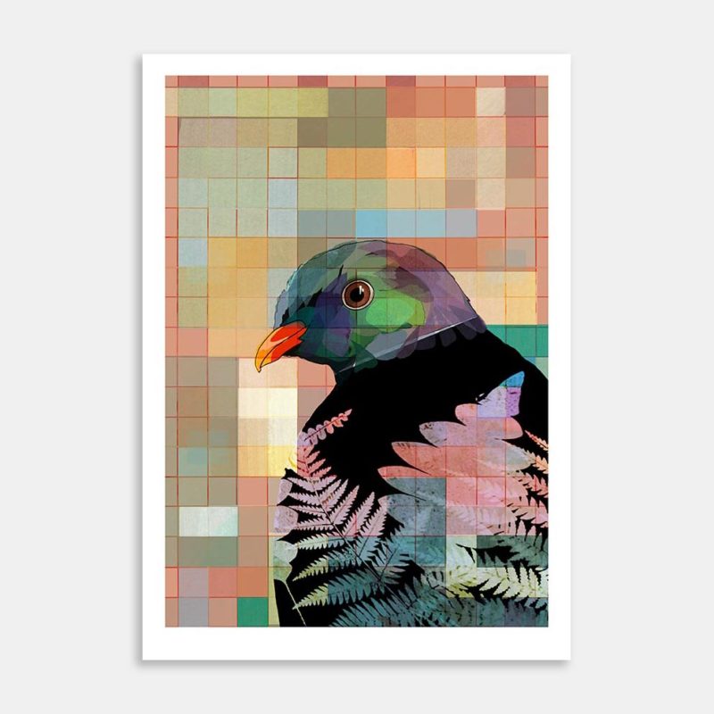 Kereru Art Print By Katherine Crosse