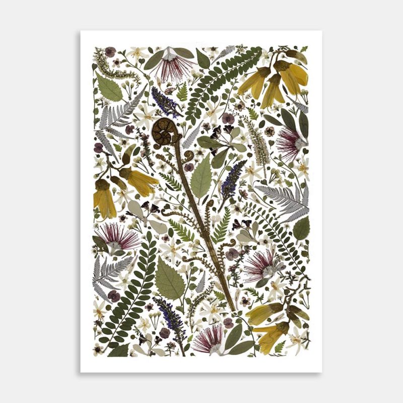 Emerging Koru Art Print By Kay Olsen