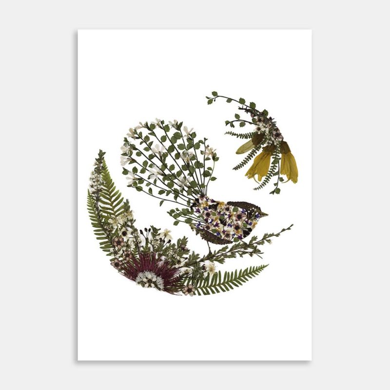 Piwakawaka Art Print By Kay Olsen