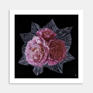 Threes Company Art Print By Lynne Knowles