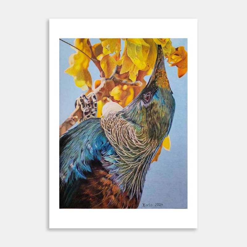 Fruits of Labour Limited Edition Art Print By Carla Sclanders
