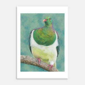 Kereru Limited Edition Art Print By Carla Sclanders
