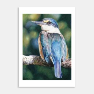 Sacred Kingfisher Limited Edition Art Print By Carla Sclanders