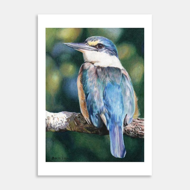 Sacred Kingfisher Limited Edition Art Print By Carla Sclanders