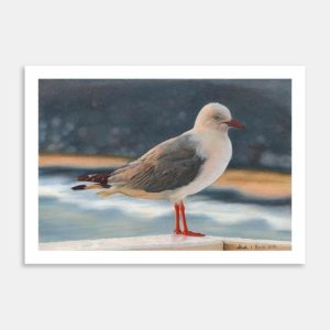 The Dancing Seagull Art Print By Carla Sclanders