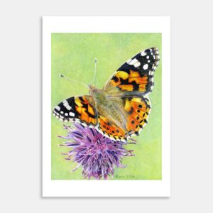 Transformation Art Print By Carla Sclanders
