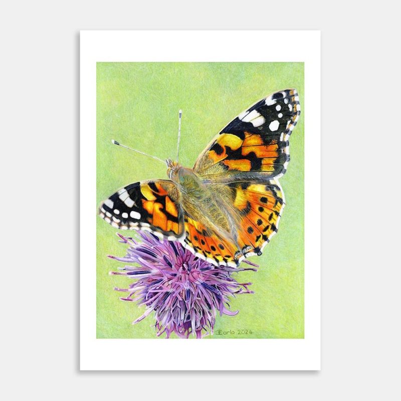 Transformation Art Print By Carla Sclanders