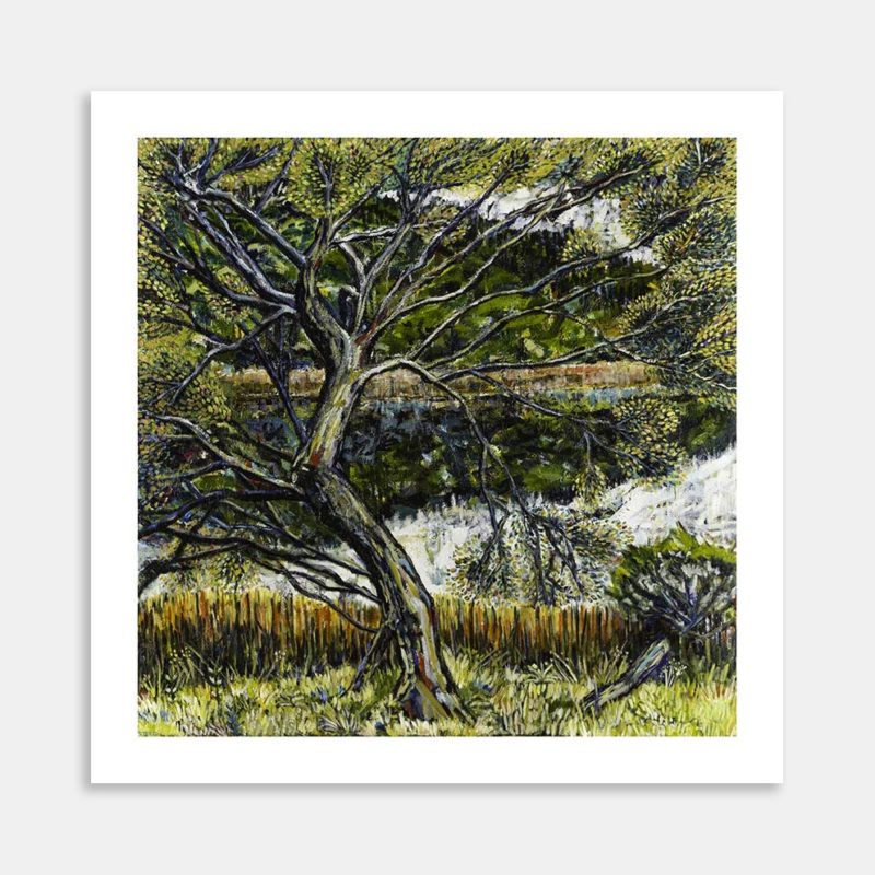 A Golden Tree Art Print By Liana Steedman
