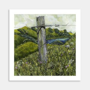 Paddock With A View Art Print By Liana Steedman