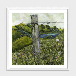 Paddock With A View Art Print By Liana Steedman
