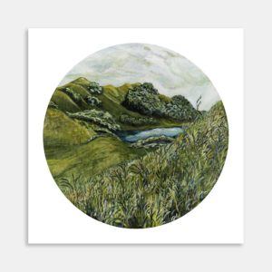 The Back Paddock In Summer Art Print By Liana Steedman
