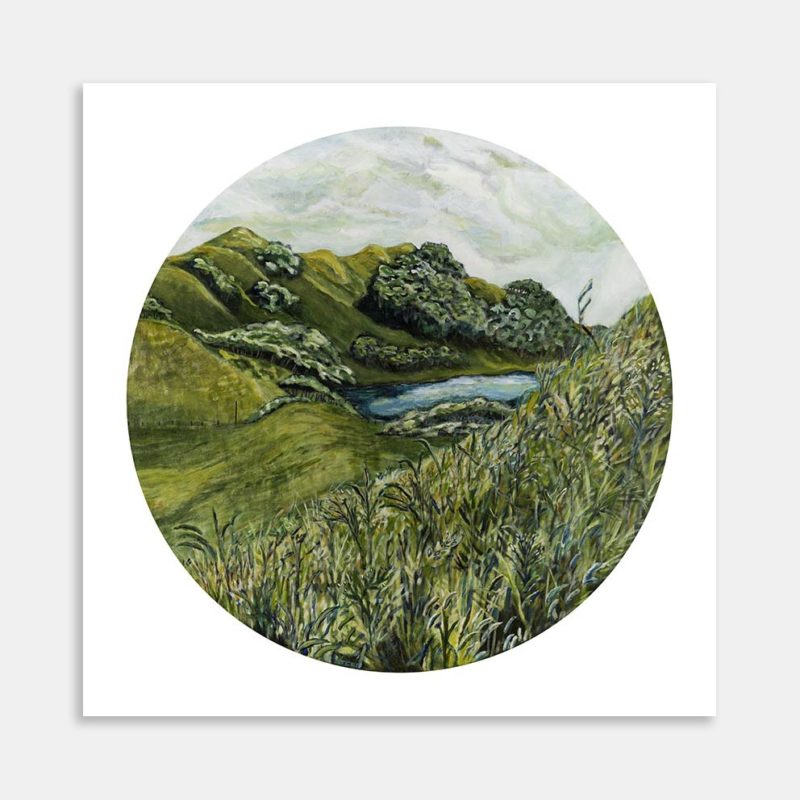 The Back Paddock In Summer Art Print By Liana Steedman