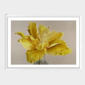 Can't Stop The Feeling Limited Edition Art Print By Rebecca Mathews