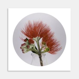 Don't Forget Your Roots Art Print By Rebecca Mathews