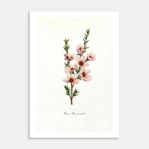 Fig. 1 Manuka Art Print By Rebecca Mathews