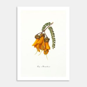 Fig. 2  Kowhai Art Print By Rebecca Mathews
