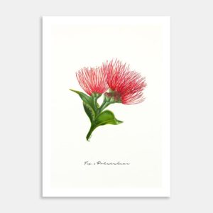 Fig. 3 Pohutukawa Art Print By Rebecca Mathews