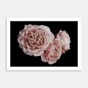 My Mum Art Print By Rebecca Mathews