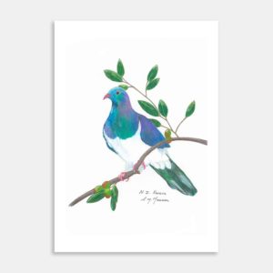 Chubby Kereru Art Print By Christina Maassen