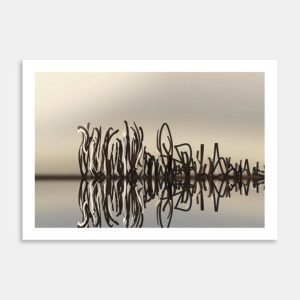 Morning Reflections Reeds Art Print By Claire Sewell