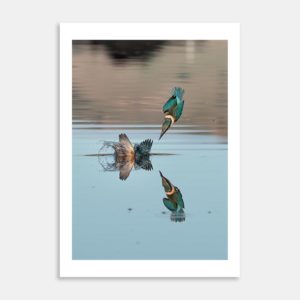 Breaking The Surface Art Print By Matias di Prospero