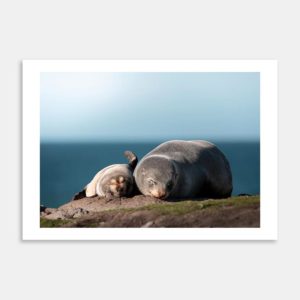 Resting Companions Art Print By Matias di Prospero