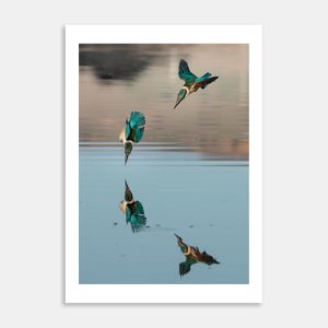 Silent Precision Art Print By Matias di Prospero