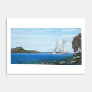 Schooner Windborne In Mercury Bay Art Print By Roly Hermans