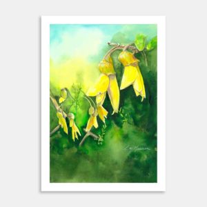 Kowhai Golden Bells Art Print By Christina Maassen