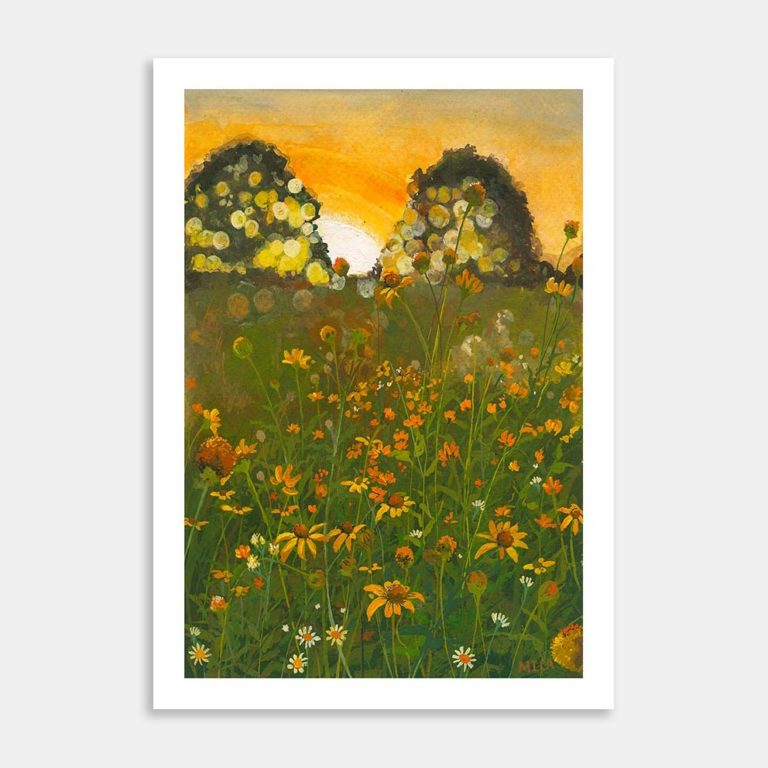 AC-SSI-Young and Wild-MI