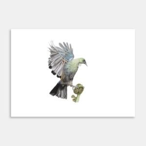 Tui and Fern Art Print By Janine Badger