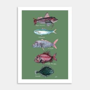NZ Native Fish Art Print By Lesh Creates
