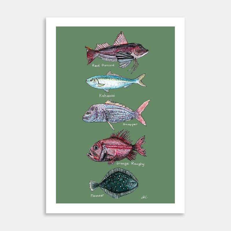 NZ Native Fish Art Print By Lesh Creates - Art Collective
