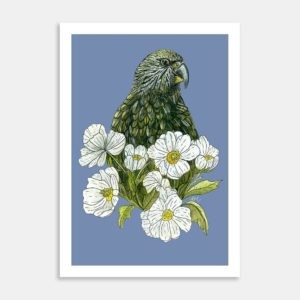 Kea Mt Cook Buttercup Art Print By Lesh Creates