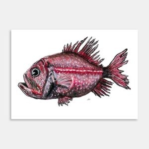 Orange Roughy Art Print By Lesh Creates