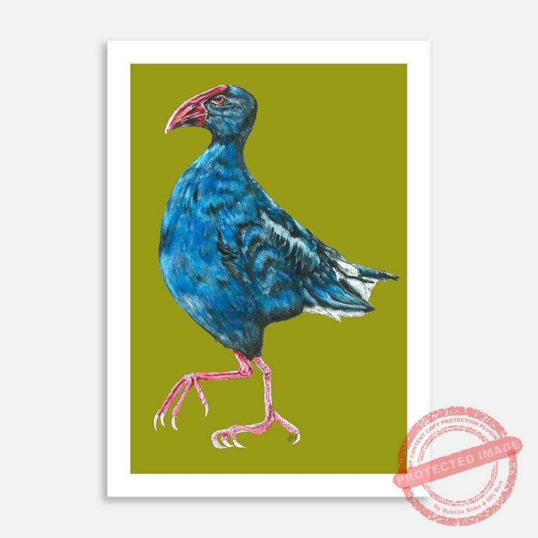 AC-LMCN-Perky pukeko-MI