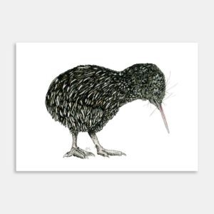 Little Kiwi Art Print By Lesh Creates