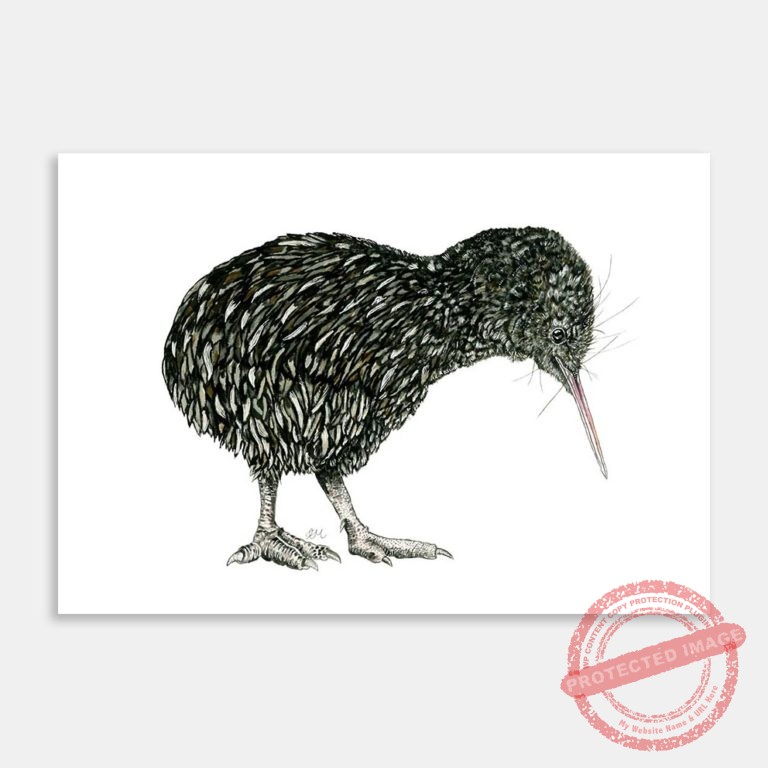 AC-LMCN-little kiwi-MI