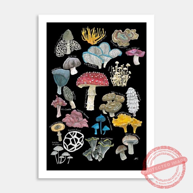 AC-LMCN-mushrooms fungi-MI