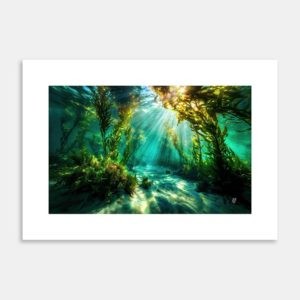 Breathing Light Art Print by Hiriwā Digital Art